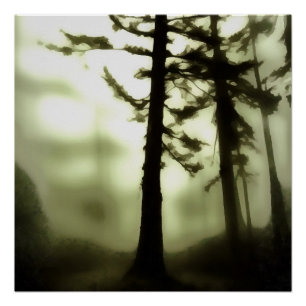 Misty Morning Monotone Forest Landschaft Poster