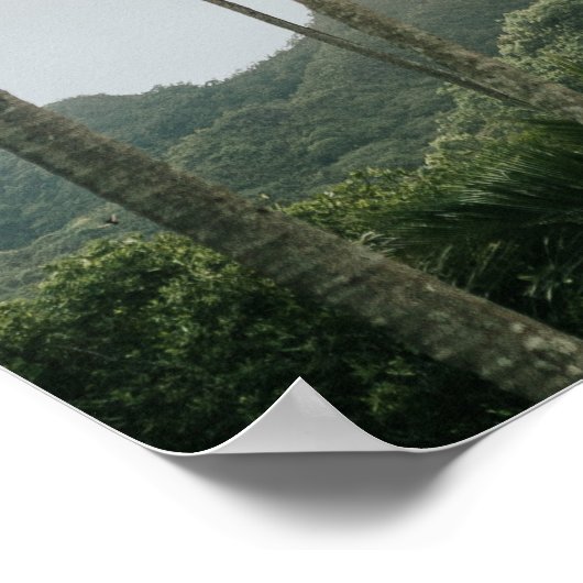 Misty Morning Palms in Oahu, Hawaii Poster (Ecke)