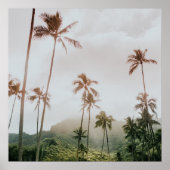 Misty Morning Palms in Oahu, Hawaii Poster (Vorne)