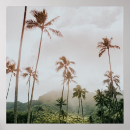 Misty Morning Palms in Oahu, Hawaii Poster