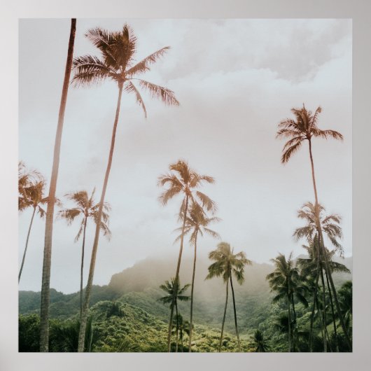 Misty Morning Palms in Oahu, Hawaii Poster (Vorne)