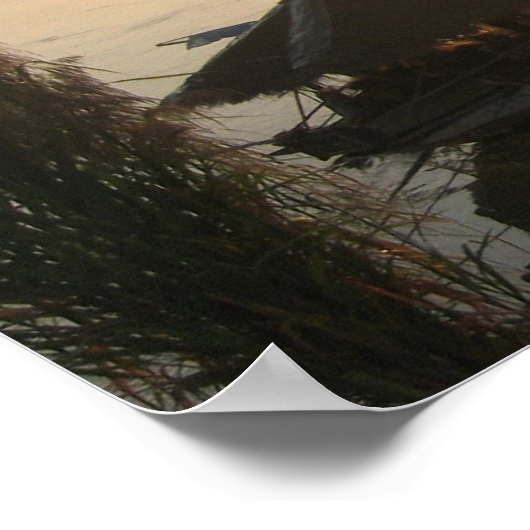 Misty Morning Poster (Ecke)