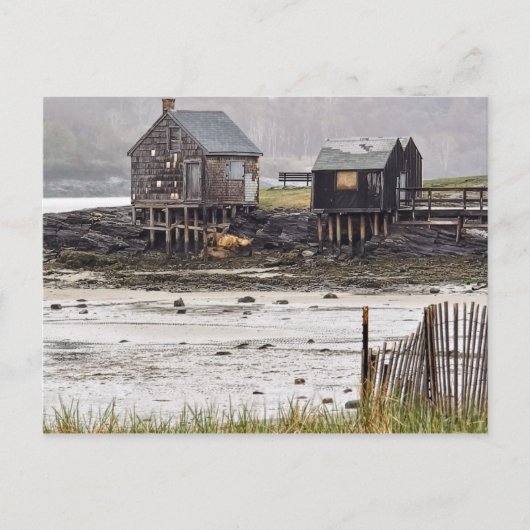 Misty Morning Shacks Postcard Postkarte (Vorderseite)