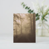 Misty Morning Walk in the Woods - Foto Postkarte (Stehend Vorderseite)