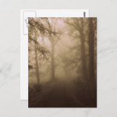Misty Morning Walk in the Woods - Foto Postkarte (Vorne/Hinten)