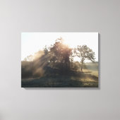 Misty Mornings Leinwanddruck (Vorderseite)