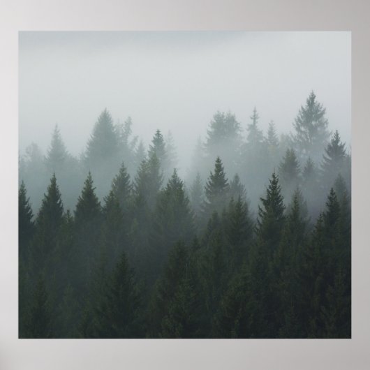 Misty Mountain Forest Autumn Fog Poster (Vorne)