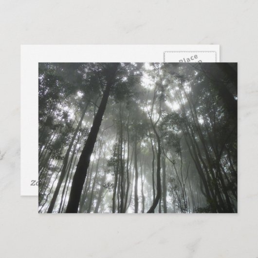 Misty Mountains Postcard Postkarte (Vorne/Hinten)