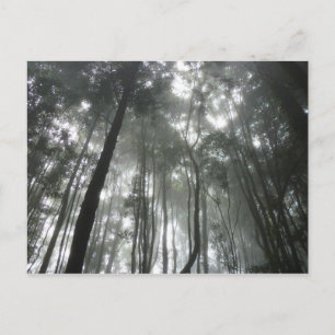 Misty Mountains Postcard Postkarte