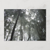 Misty Mountains Postcard Postkarte (Vorderseite)