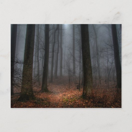 Misty Path to Flat Topmountain Postkarte (Vorderseite)