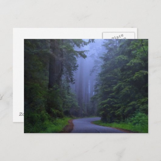 Misty Redwood National Park Postcard Postkarte (Vorne/Hinten)