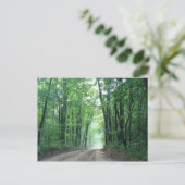 Misty Road Postcard Postkarte (Stehend Vorderseite)