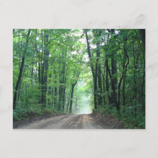 Misty Road Postcard Postkarte