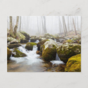 Misty Rocky Stream Foto Postcard Postkarte