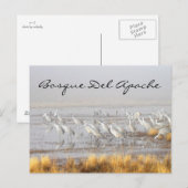 Misty Sandhill Cranes, Bosque del Apache Postkarte (Vorne/Hinten)