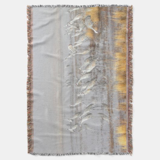 Misty Sandhill Cranes Decke (Vorderseite Vertikal)