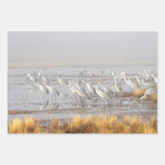 Misty Sandhill Cranes Geschenkpapier Set (Vorderseite 3)