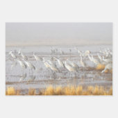 Misty Sandhill Cranes Geschenkpapier Set (Vorderseite 2)