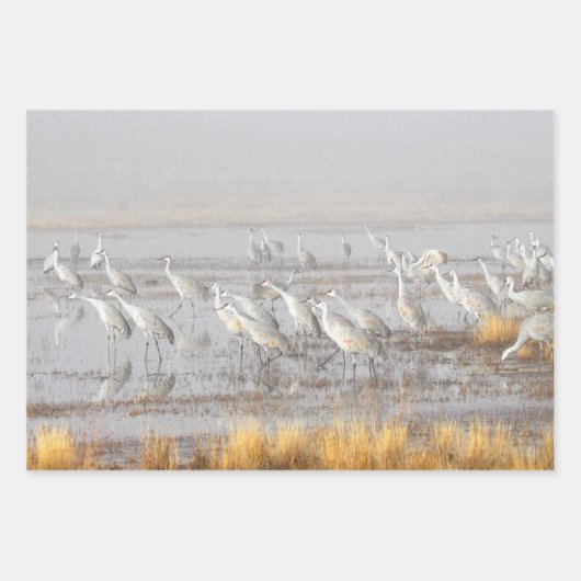 Misty Sandhill Cranes Geschenkpapier Set (Vorderseite 2)