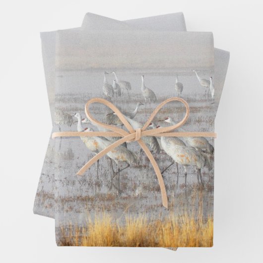 Misty Sandhill Cranes Geschenkpapier Set (Beispiel)