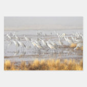 Misty Sandhill Cranes Geschenkpapier Set (Vorderseite)