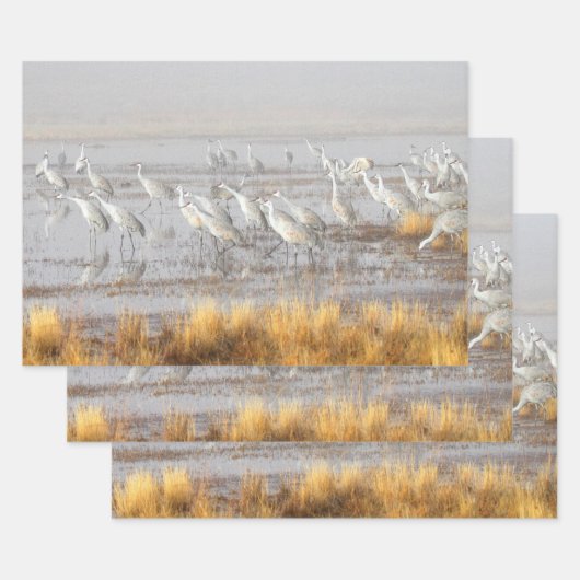 Misty Sandhill Cranes Geschenkpapier Set (Set)