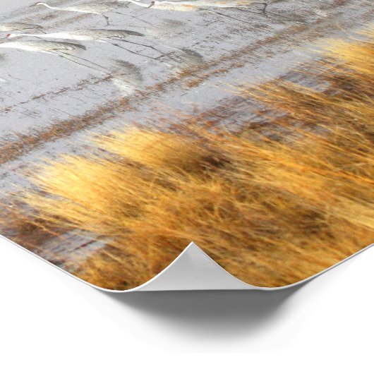 Misty Sandhill Cranes Poster (Ecke)
