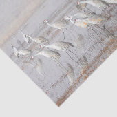 Misty Sandhill Cranes Seidenpapier (Ausschnitt)