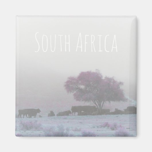 Misty South Africa Rural Landscape SA Magnet (Vorne)