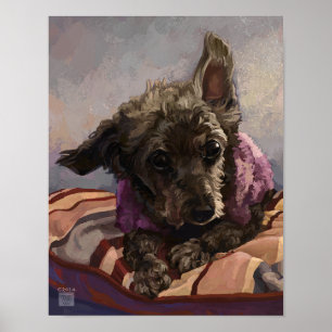 Misty the Poodle Poster