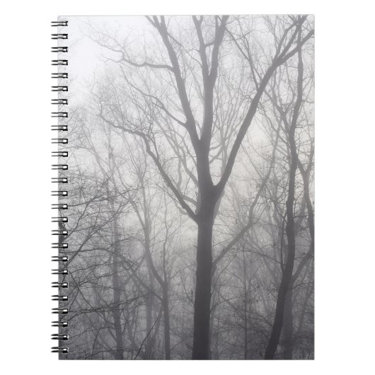 Misty Trees Gray Woodland Notizblock (Vorderseite)