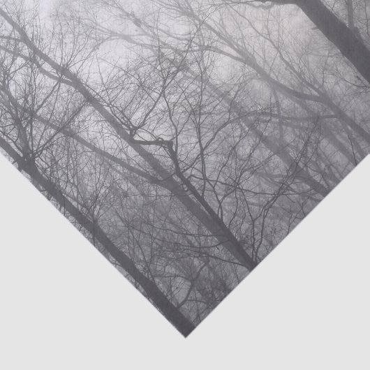 Misty Trees Gray Woodland Seidenpapier (Ausschnitt)