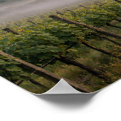 Misty Tuscany Vineyard Sunrise Landscape Poster (Ecke)