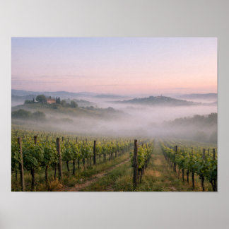 Misty Tuscany Vineyard Sunrise Landscape Poster