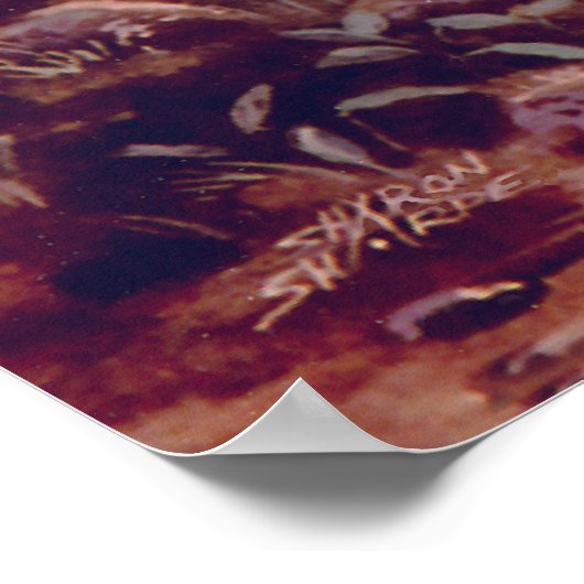 MISTY UNICORN by SHARON SHARPE Poster (Ecke)