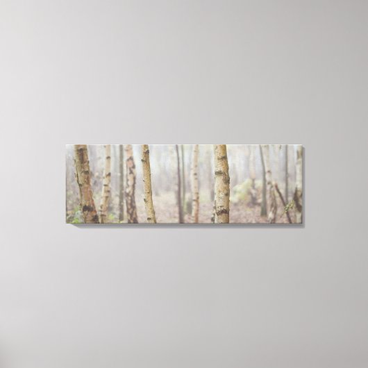 MISTY WALEST LEINWANDDRUCK (Vorderseite)