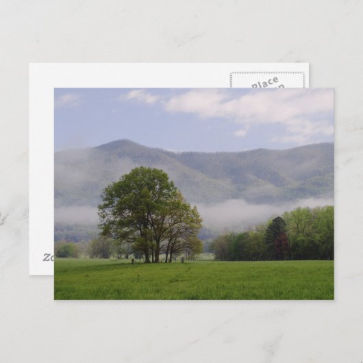 Misty Wiese and Rich Mountain, Cades Cove, Postkarte (Vorne/Hinten)