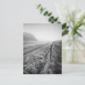 Misty Wiltshire Field Postcard Postkarte (Stehend Vorderseite)