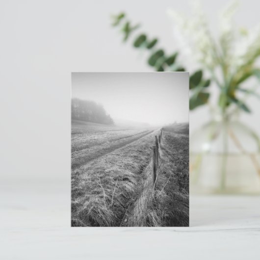 Misty Wiltshire Field Postcard Postkarte (Stehend Vorderseite)