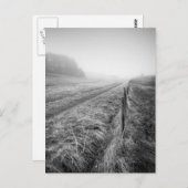 Misty Wiltshire Field Postcard Postkarte (Vorne/Hinten)