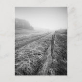 Misty Wiltshire Field Postcard Postkarte (Vorderseite)