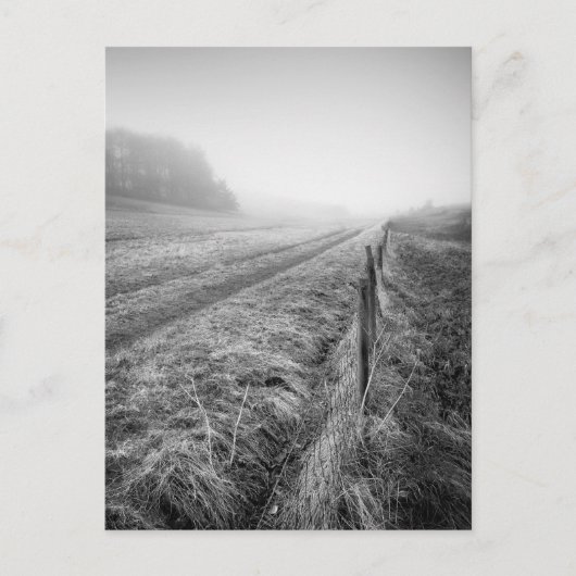 Misty Wiltshire Field Postcard Postkarte (Vorderseite)