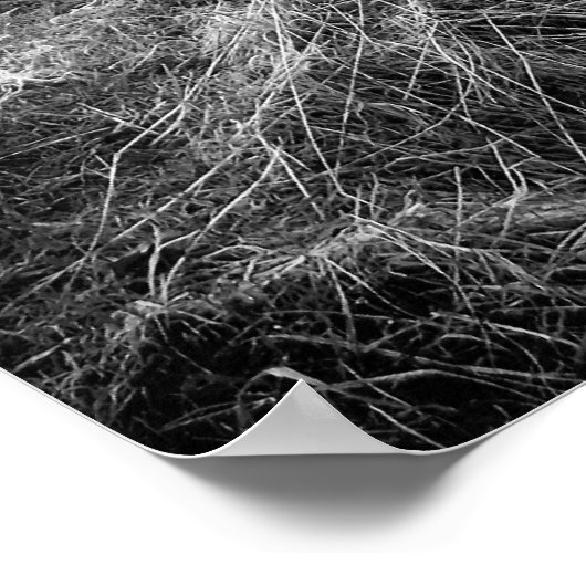 Misty Wiltshire Field print Poster (Ecke)