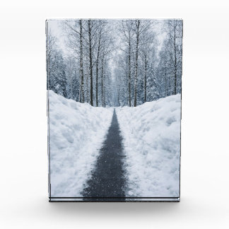 Misty Winter Forest Path Winter Landscape Poster Fotoblock