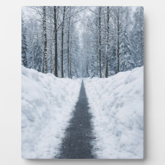 Misty Winter Forest Path Winter Landscape Poster Fotoplatte