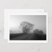 Misty Winter Morning: Cheshire, England Postkarte (Vorne/Hinten)