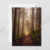 Misty Woodland Path Postkarte (Vorne/Hinten)