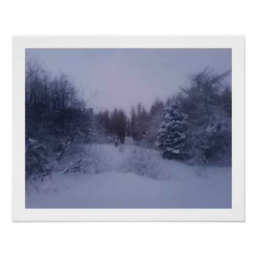 Misty woods poster (Vorderseite)