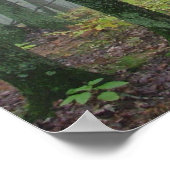 Misty woods poster (Ecke)